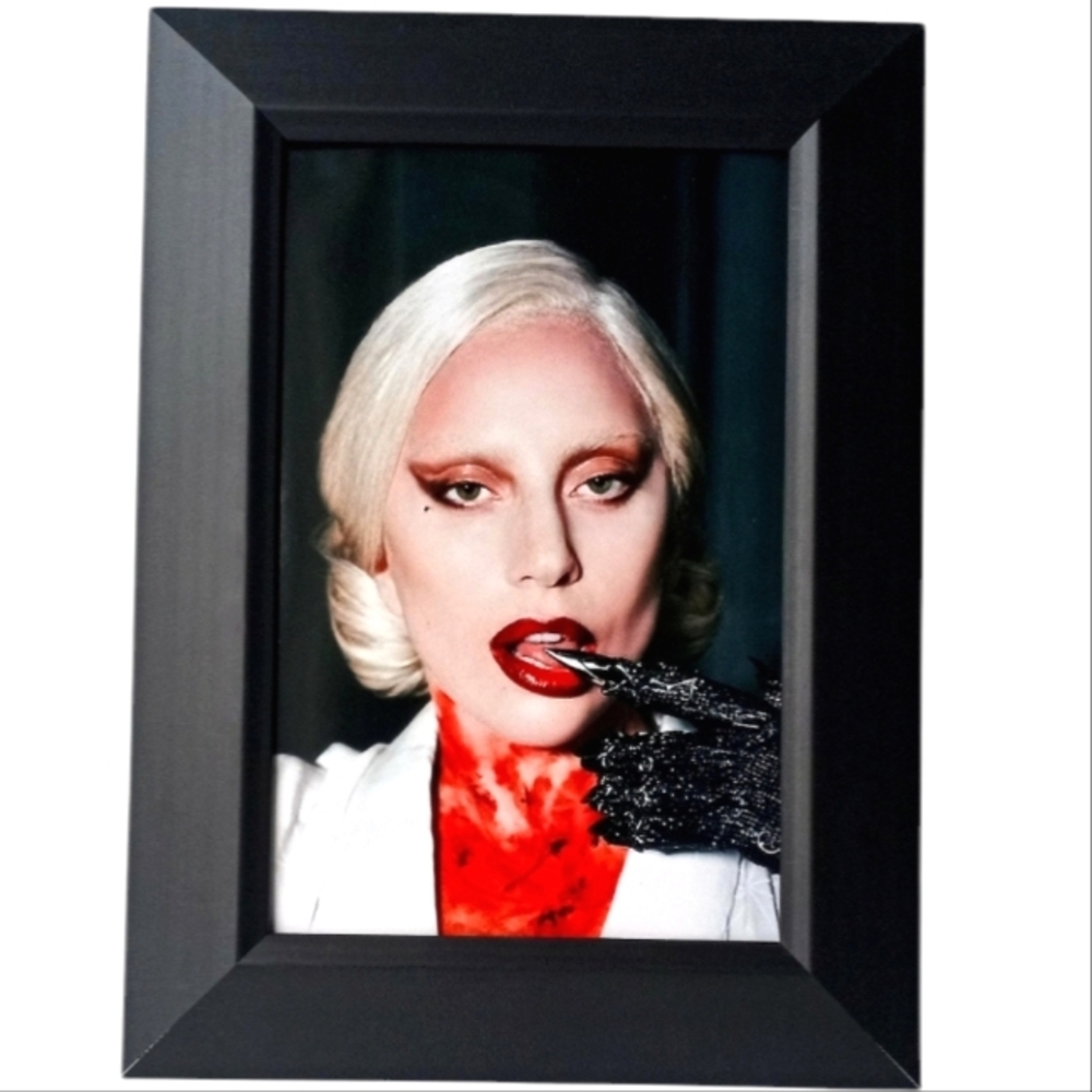 Lady Gaga American Horror Story Ahs Countess Vampires Goth Gothic Tv Framed Art